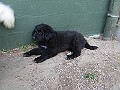 Img0511