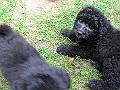 Img0515