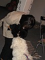 Img0531