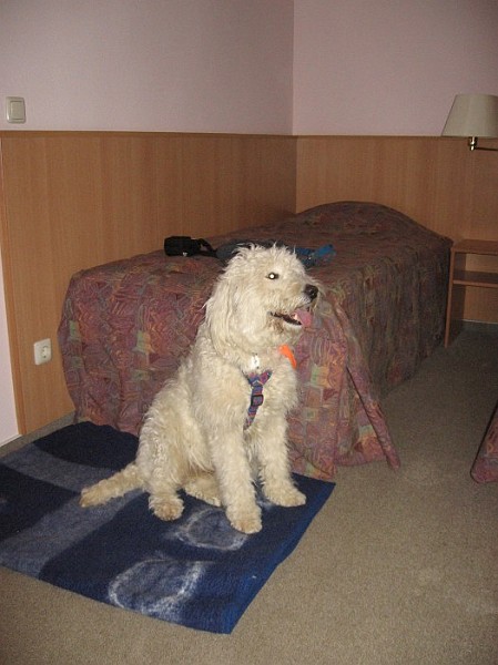 a0004.JPG